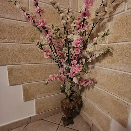 Grace's House Gallipoli