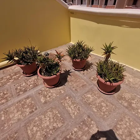 Grace's House Bed & Breakfast