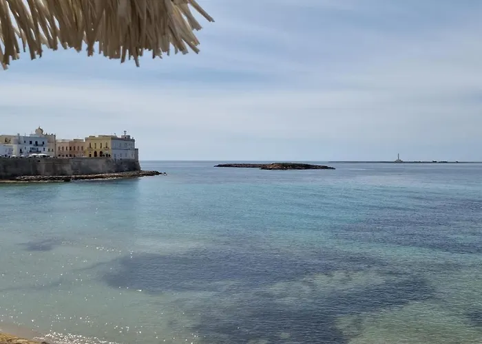 Grace's House Bed & Breakfast