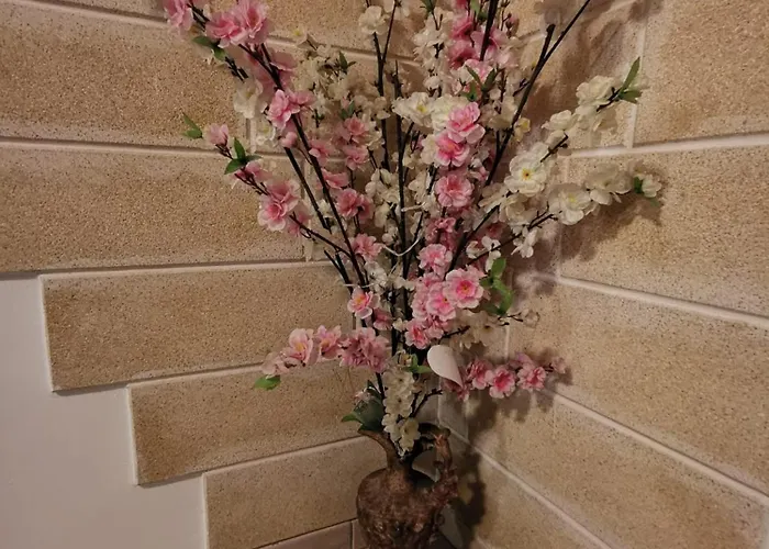 Grace's House Gallipoli