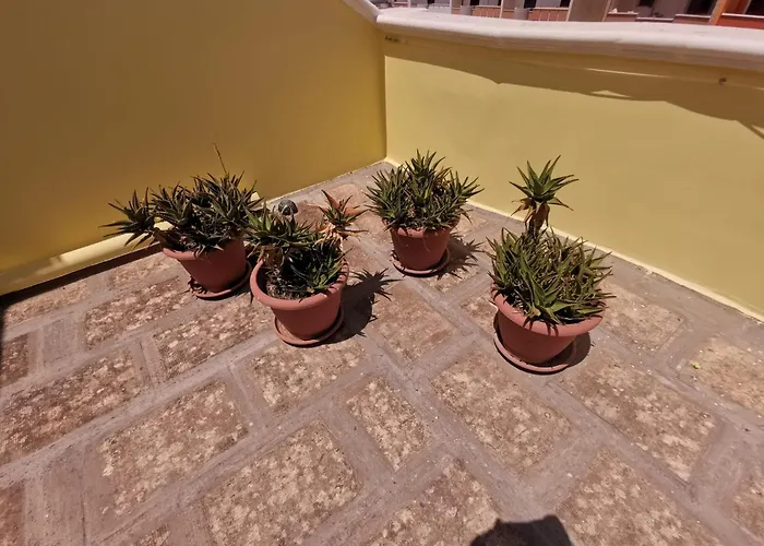 Grace's House Bed & Breakfast